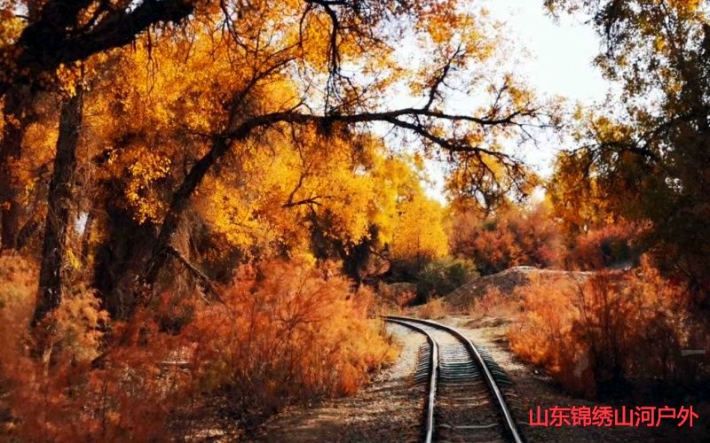 1758298227955620.jpg 1758243132169875.jpg