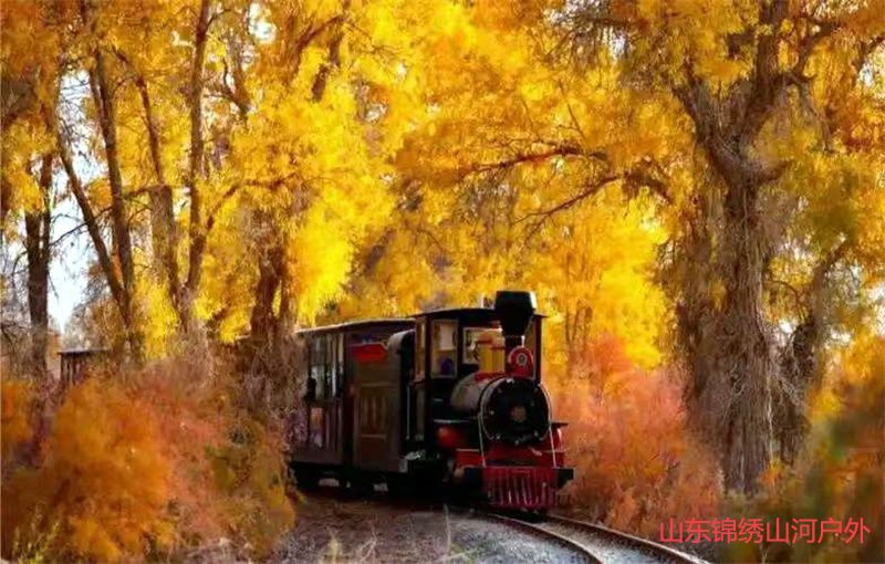 1758555643937752.jpg 微信图片_20250922233946_200_17.jpg