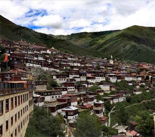 1781509691353619.jpg