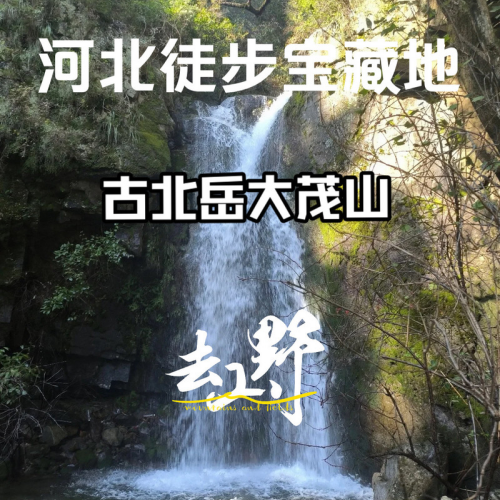 1788512119909368.png