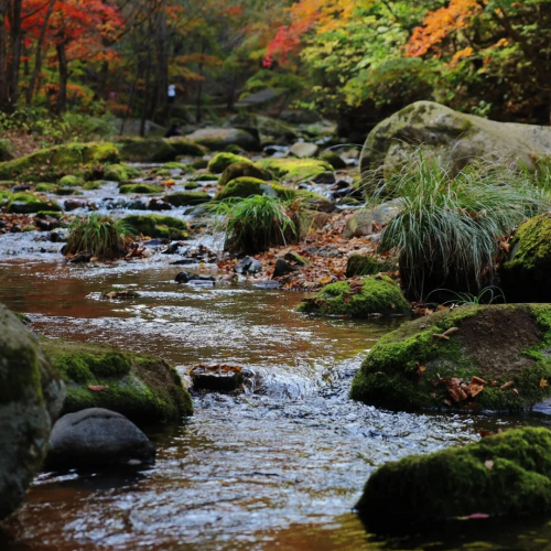 1789637031975530.png