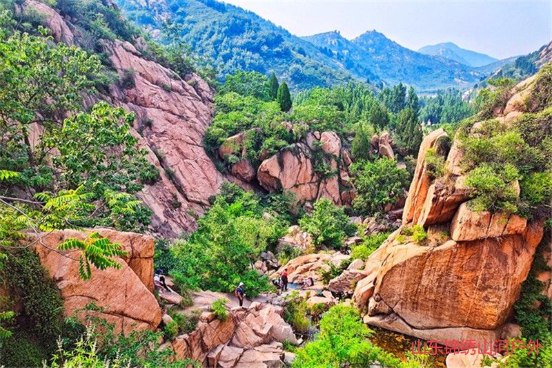 1595389789799427.jpg 微信图片_20200722112121_副本.jpg