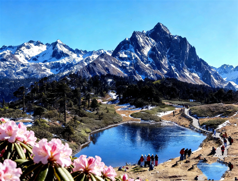 1772948420900832.png 微信图片_20260308133855_981_17.png