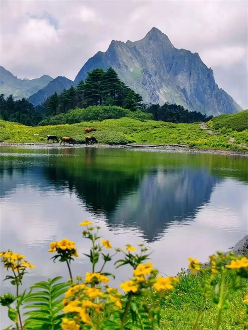 1772964789886982.jpg 微信图片_20260308133356_978_17.jpg