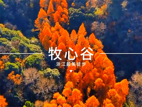 1775626761141041.jpg Screenshot_2026-04-08-13-19-10-04_99c04817c0de565.jpg