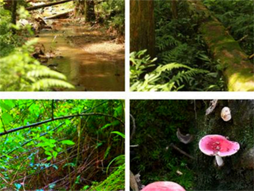 1775626772454757.jpg u_3577948684_1550336061&fm_253&app_138&f_JPEG.jpg