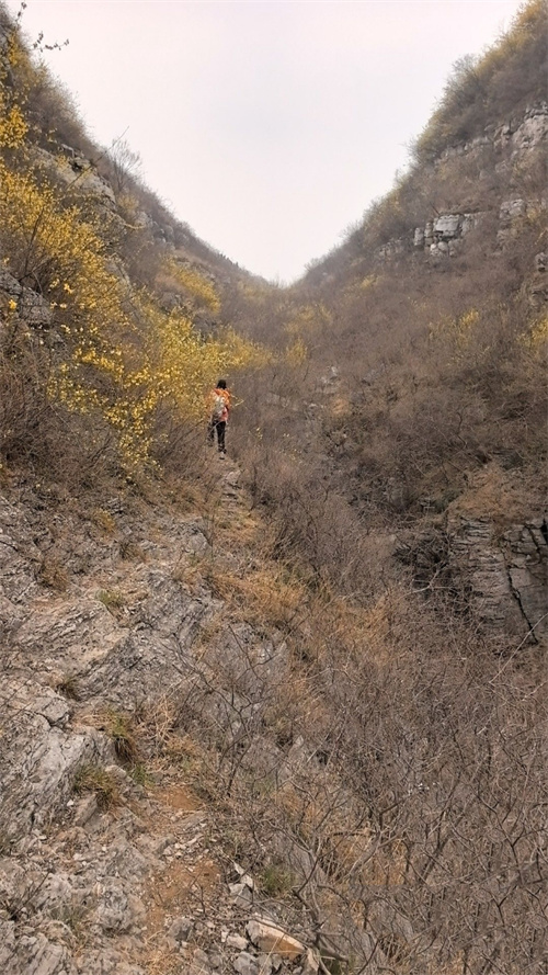 微信图片_20260506101514_1492_17.jpg