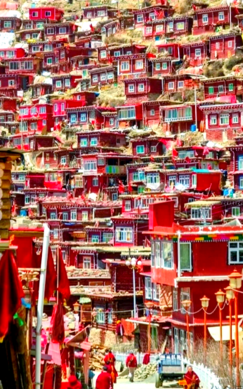 1781603572314115.png 微信图片_20260616174234_1886_34.png