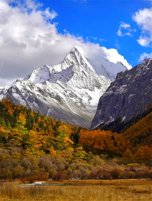 1787630454116445.jpg 微信图片_20260825115942_63_2.jpg