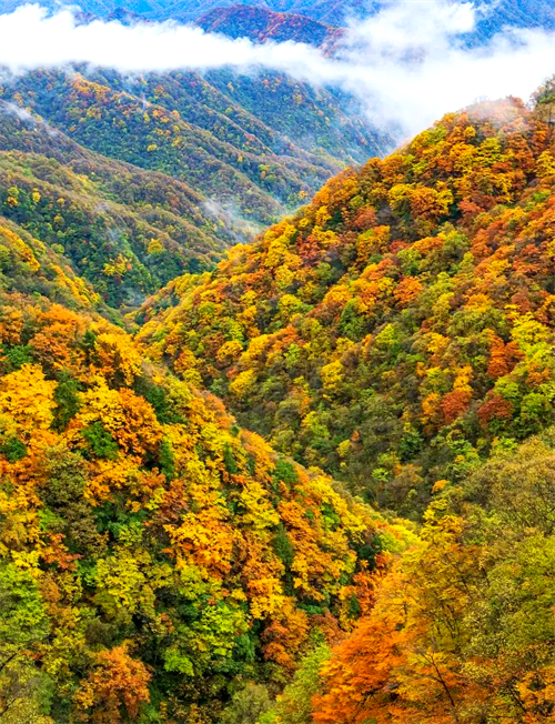 1788234343429206.png 微信图片_20260901112048_177_2.png